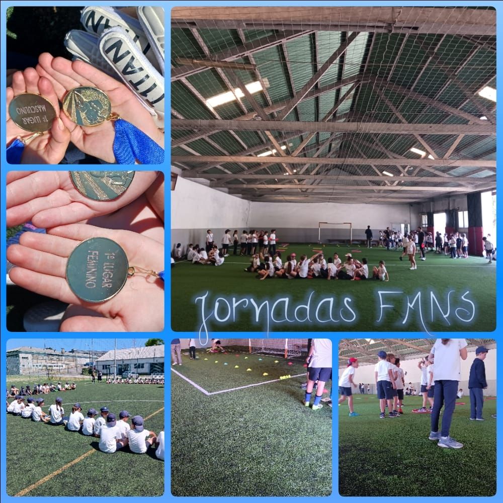 Torneio FMNS