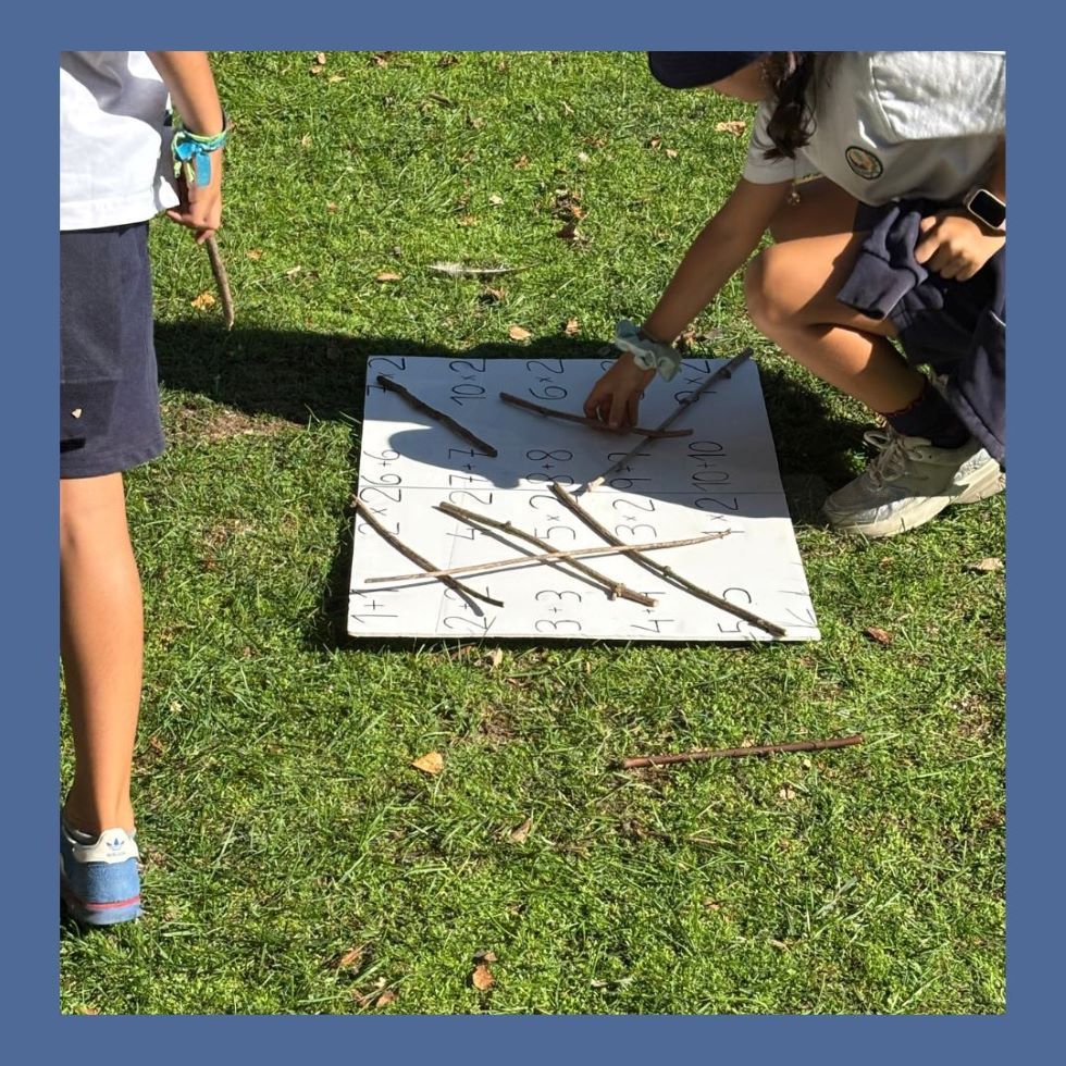 Matemática na Natureza